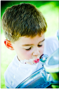 Water Conservation Mythology 101